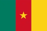 Flag of Cameroon