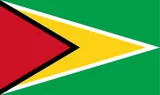 Flag of Guyana